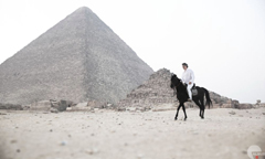 Aegypten, 24. September 2010, copyright Almud s.r.l