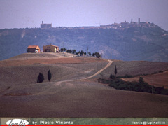 Lajatico, heading Volterra, copyrights Pietro Vinante