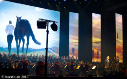 Zrich, 15. Januar 2017, copyright photo by F. Hochscheid